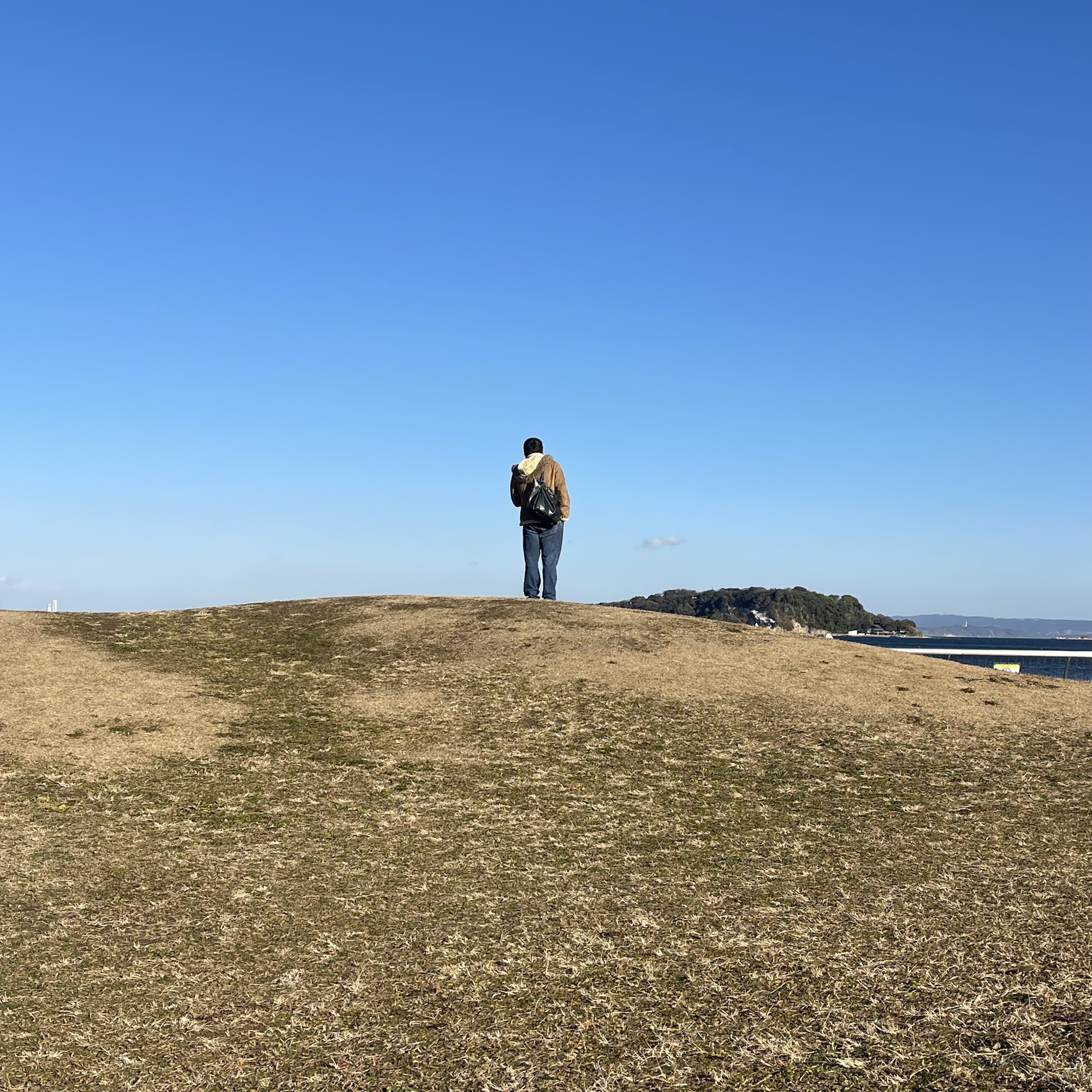 The Three “Bans”: What Every Politician in Japan Requires